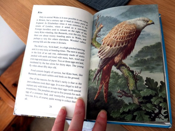 Ladybird book red kite entry
